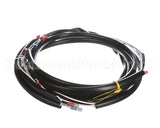 0507577 Champion - Moyer Diebel Harness, Sw600 M5