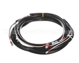 0507577 Champion - Moyer Diebel Harness, Sw600 M5