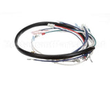0509039 Champion - Moyer Diebel Harness, Control Box Df/Sw