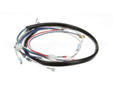 0509039 Champion - Moyer Diebel Harness, Control Box Df/Sw