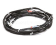 0512223 Champion - Moyer Diebel Harness, Uh170/200/501Ht
