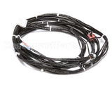 0512223 Champion - Moyer Diebel Harness, Uh170/200/501Ht