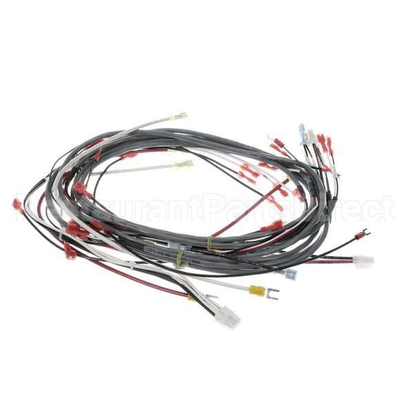 0512538-1 Compatible Champion Harness, Wiring Dfm7.5