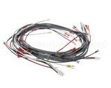 0512538-1 Champion - Moyer Diebel Harness, Wiring Dfm7.5