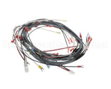 0512538-1 Champion - Moyer Diebel Harness, Wiring Dfm7.5