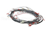 0512538-1 Champion - Moyer Diebel Harness, Wiring Dfm7.5