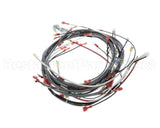 0512538-1 Champion - Moyer Diebel Harness, Wiring Dfm7.5