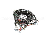 0513576 Champion - Moyer Diebel Harness, Wiring Hr M4 U/C