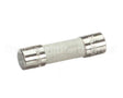0513698 Champion - Moyer Diebel Fuse, 6 Amp 250Vac Time Delay