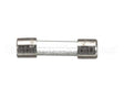 0513795 Champion - Moyer Diebel Fuse, 0.063A Sloblow 250Vac