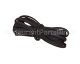 06010205 Glastender Probe, 2 Meters Long, For Use With Full