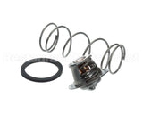 062234B Raypak Governor