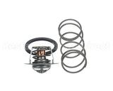 062234B Raypak Governor