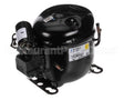 07000174 Glastender Compressor 60Hz