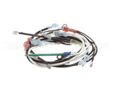 0700531 Antunes Wire Set (Nt)