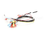 0700547 Antunes Wire Set (Tmr)