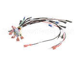 0700554 Antunes Wire Set