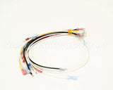 0700580 Antunes Wire Set