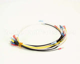 0700580 Antunes Wire Set