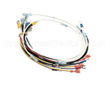 0700651 Antunes Wire Set Vct-2000