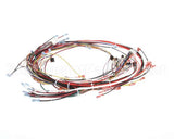 0700700 Antunes Wire Set Ut-200