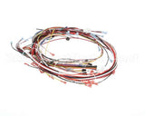 0700700 Antunes Wire Set Ut-200