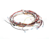 0700700 Antunes Wire Set Ut-200