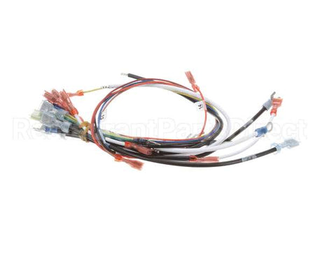 0700807 Antunes Wire Harness