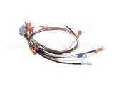 0700807 Antunes Wire Harness