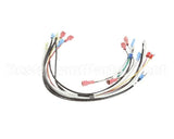 0700871 Antunes Wire Set Firehouse