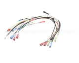 0700871 Antunes Wire Set Firehouse