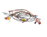 0700914 Antunes Wire Set, Hct Horz Contact Toa