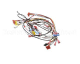 0700914 Antunes Wire Set, Hct Horz Contact Toa