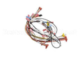 0700914 Antunes Wire Set, Hct Horz Contact Toa
