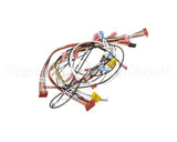 0700914 Antunes Wire Set, Hct Horz Contact Toa