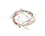 0700915 Antunes Wire Set, Horz Ir Toaster