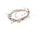 0700915 Antunes Wire Set, Horz Ir Toaster