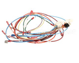 0700926 Antunes Wire Set Control Board