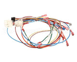 0700926 Antunes Wire Set Control Board