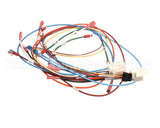 0700926 Antunes Wire Set Control Board