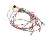 0700926 Antunes Wire Set Control Board