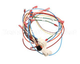 0700926 Antunes Wire Set Control Board