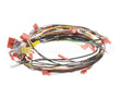 0700931 Antunes Wire Set, Cfa Ir Toaster