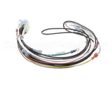 0700938 Antunes Wire Harness 48 Cinnibon