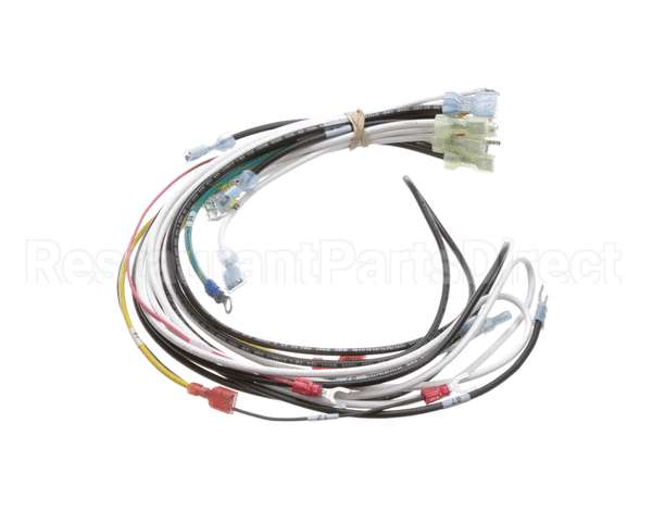 0700938 Antunes Wire Harness 48 Cinnibon