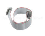 0700973 Antunes Wire Set, 20 Conductor