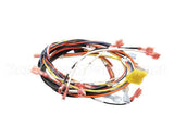 0700975 Antunes Wire Set, Dual Eggstation