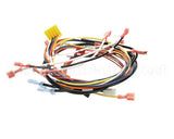 0700975 Antunes Wire Set, Dual Eggstation