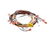 0700975 Antunes Wire Set, Dual Eggstation