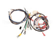 0701062 Antunes Wire Set, Rs-1000